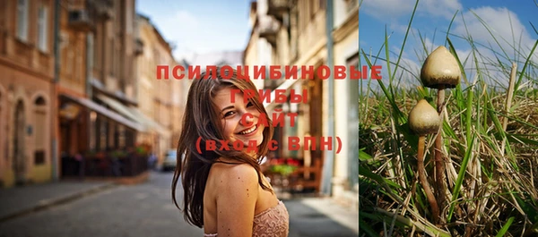 МДПВ Абинск