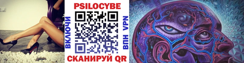 Псилоцибиновые грибы Psilocybe  где найти   Спас-Клепики 